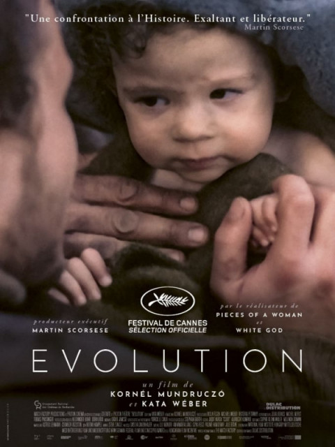 Evolution Evolution