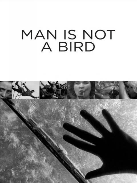 L'Homme n'est pas un oiseau L'Homme n'est pas un oiseau