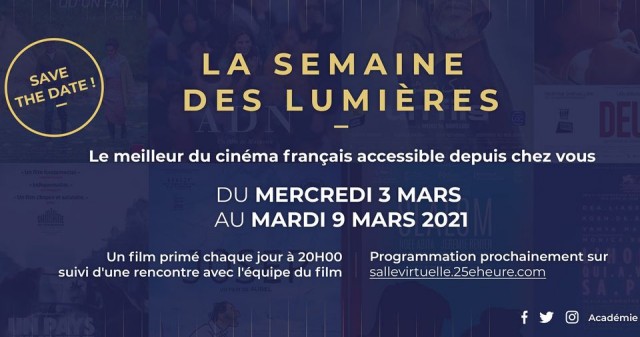 http://dulaccinemas.com/article/paris-lyon-les-lumieres-sinvitent-en-ligne/100681