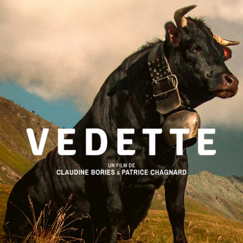 Vedette, ACID, Vache, Documentaire