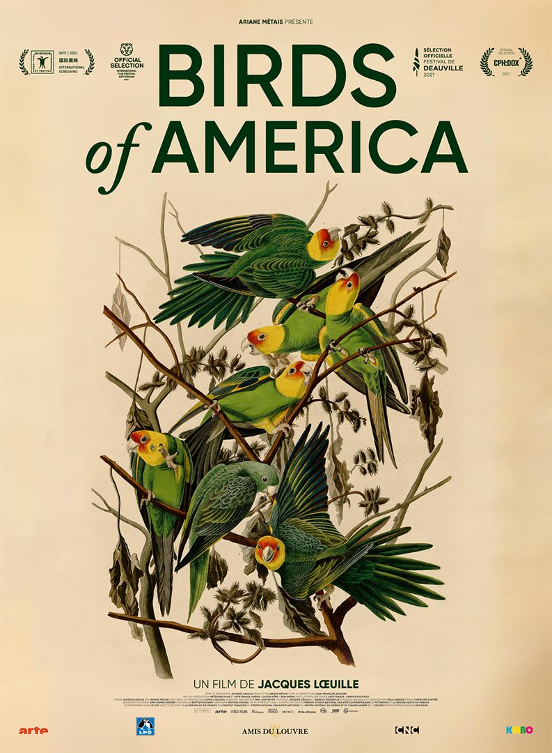 Documentaire, Birds of America, dessin, nature, oiseaux, environnement, histoire