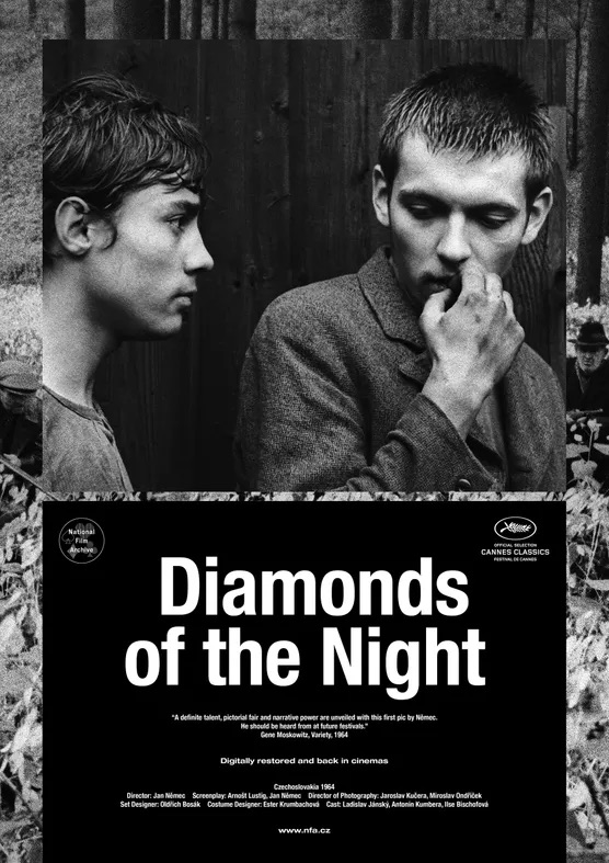 LES DIAMANTS DE LA NUIT