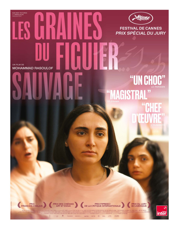 LES GRAINES DU FIGUIER SAUVAGE