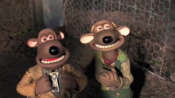 Chicken run