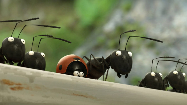 Minuscule - La vallée des fourmis perdues