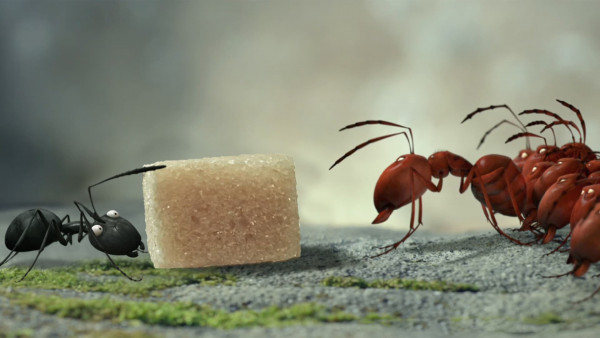 Minuscule - La vallée des fourmis perdues