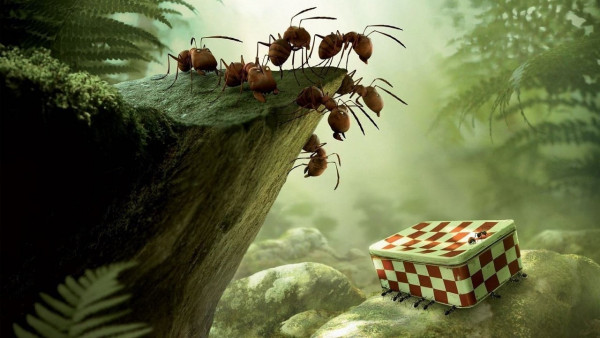 Minuscule - La vallée des fourmis perdues