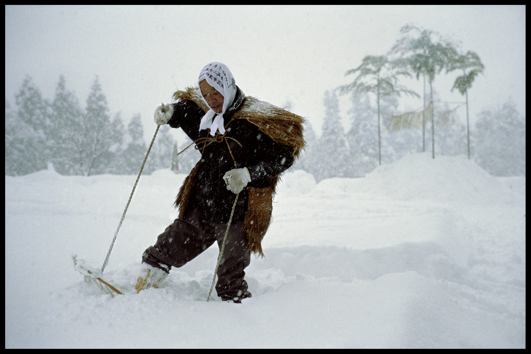 SOUS LA NEIGE