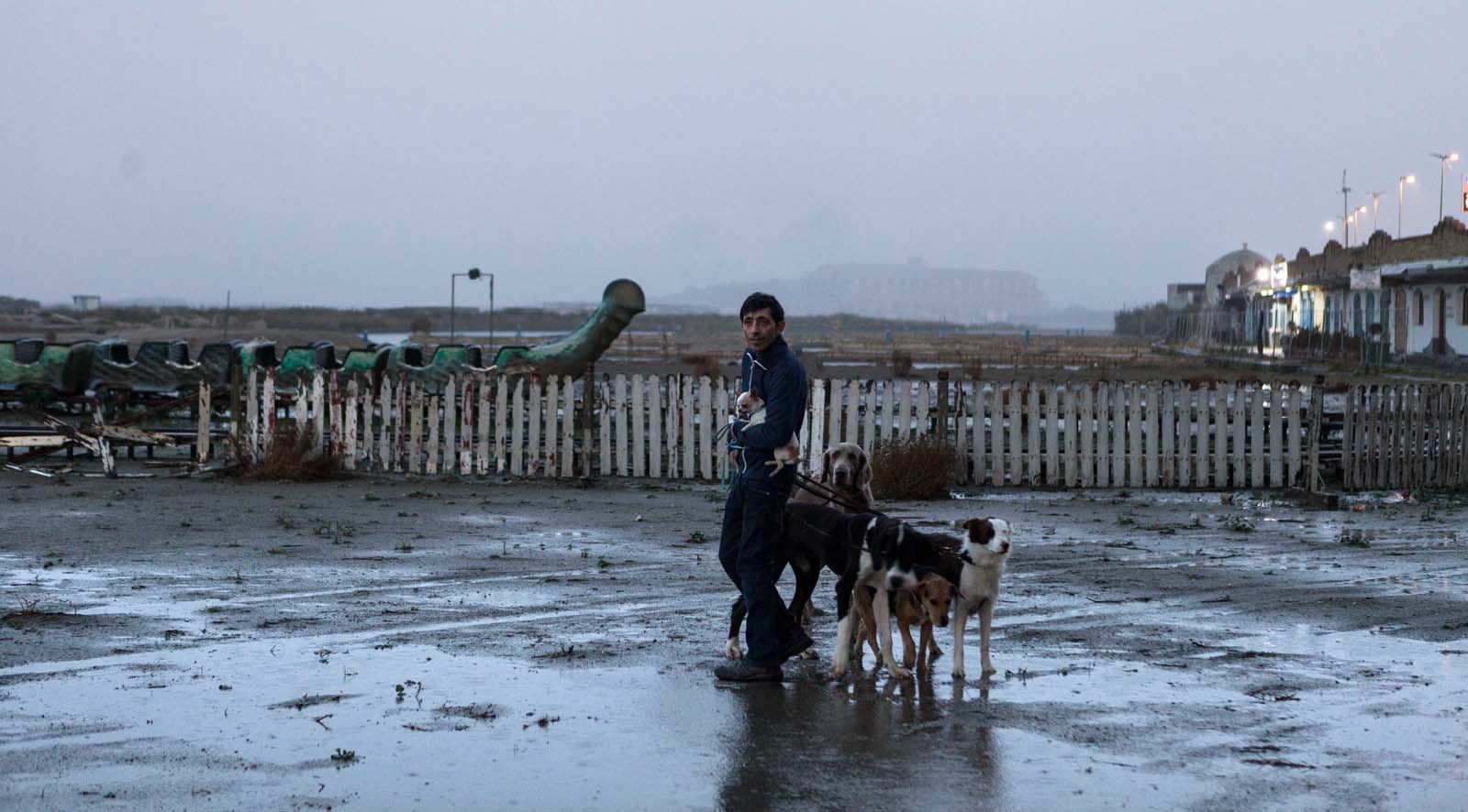 DOGMAN 
