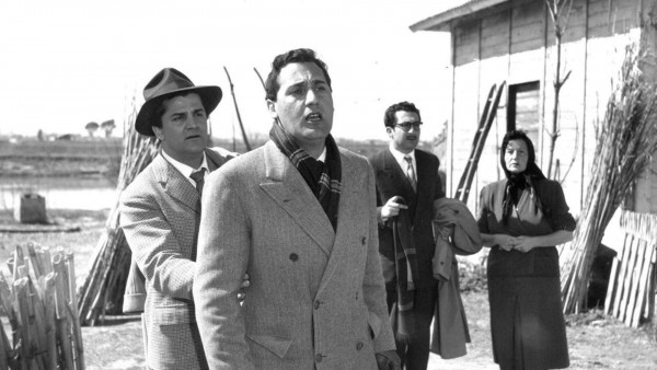Les Vitelloni
