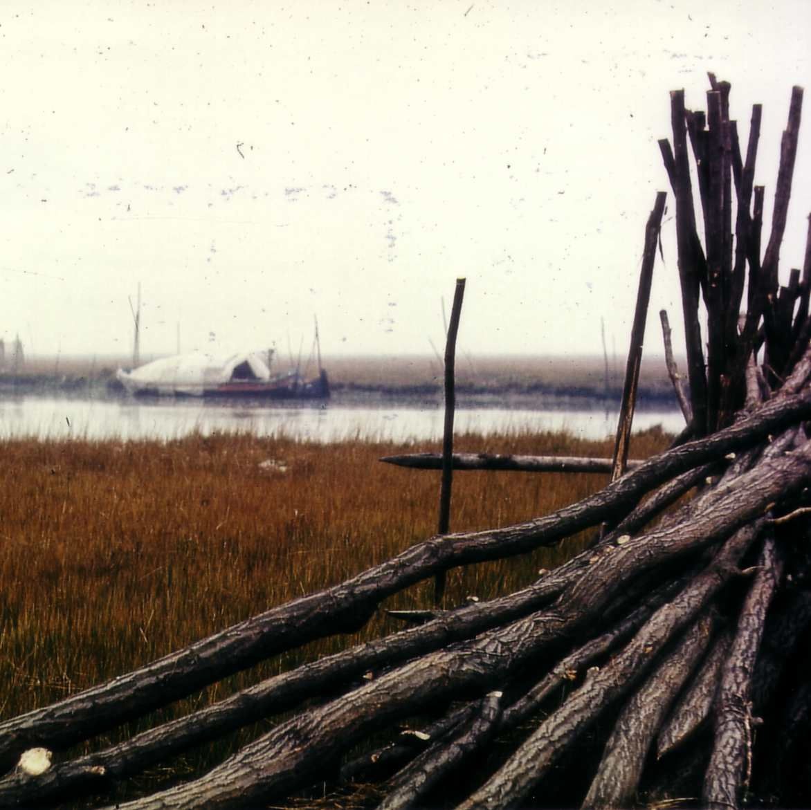 Une ville de la mer ou comment survivre à Venise