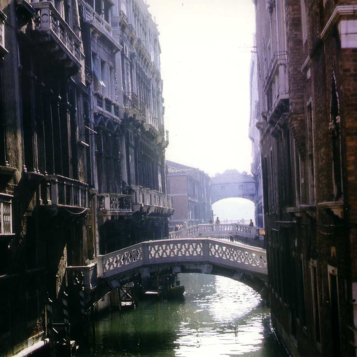 Une ville de la mer ou comment survivre à Venise