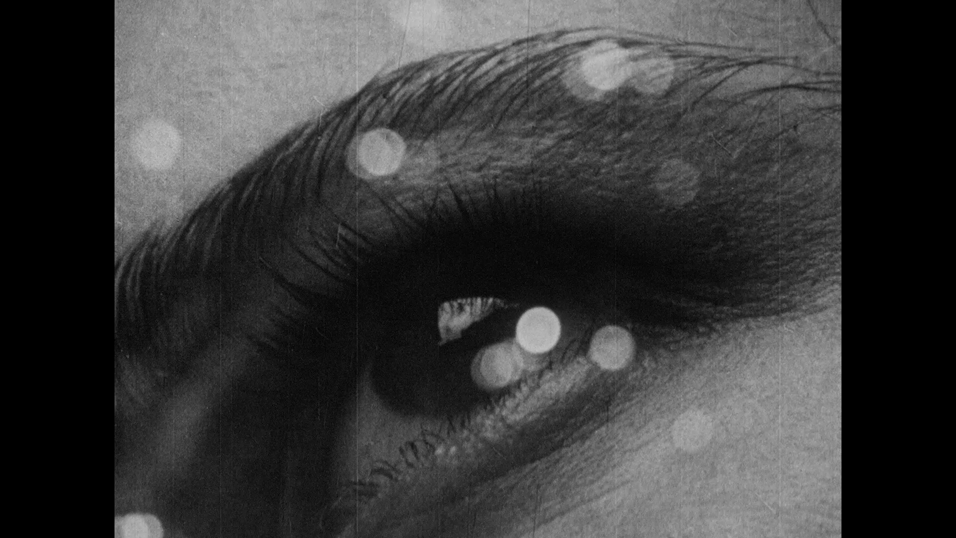 Refle-x-périmental #25 : Kino Klub.  Belgrade expérimental, l’amateurisme académique