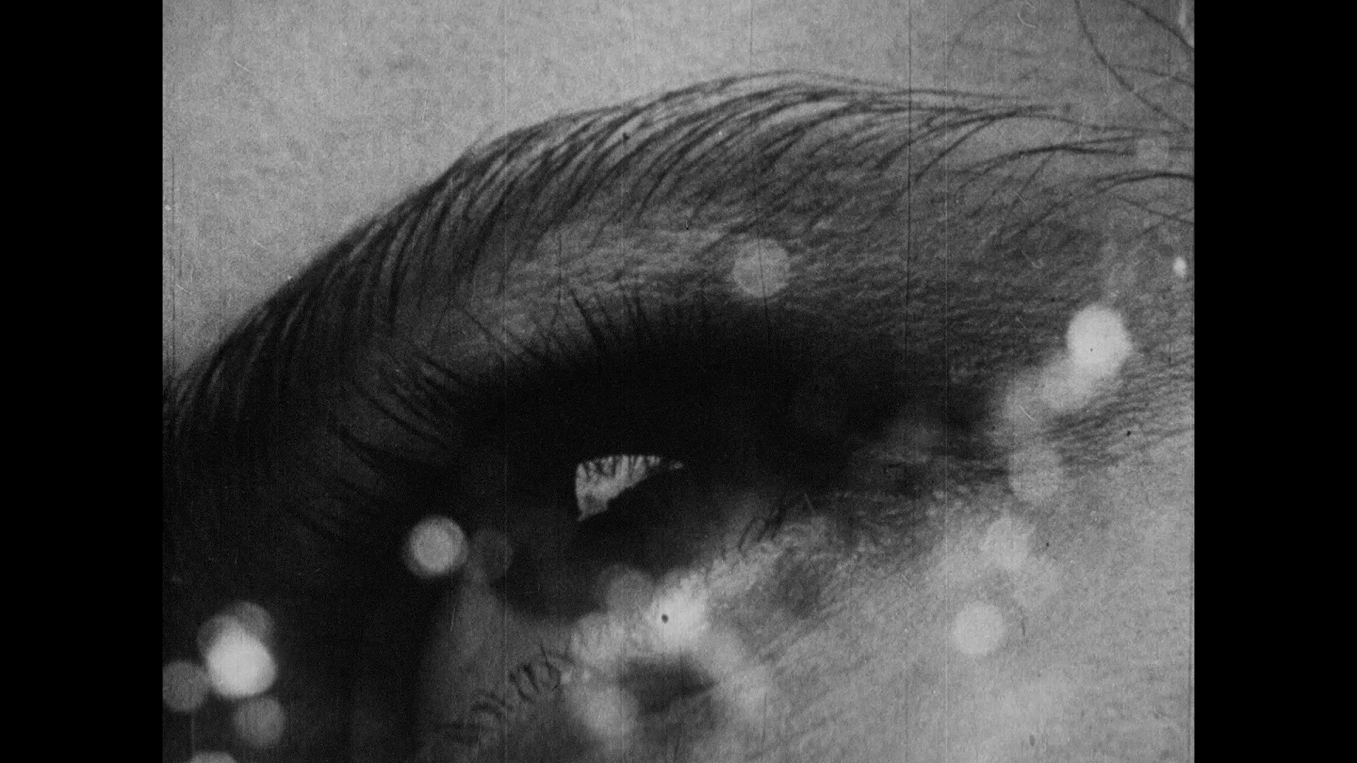 Refle-x-périmental #25 : Kino Klub.  Belgrade expérimental, l’amateurisme académique