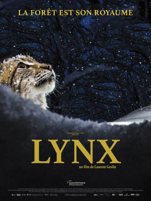 Lynx Lynx