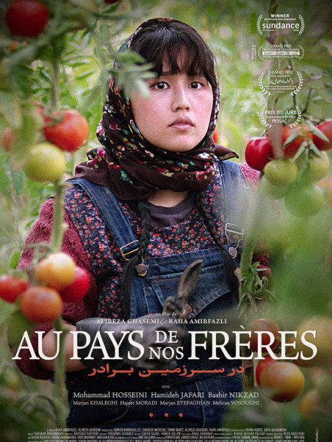 Au pays de nos frères