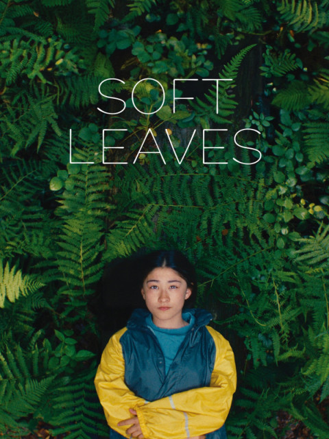 Soft Leaves