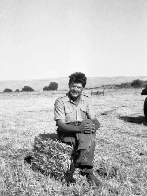 Comme d'ici au pommier