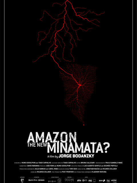 AMAZONIE LA NOUVELLE MINAMATA