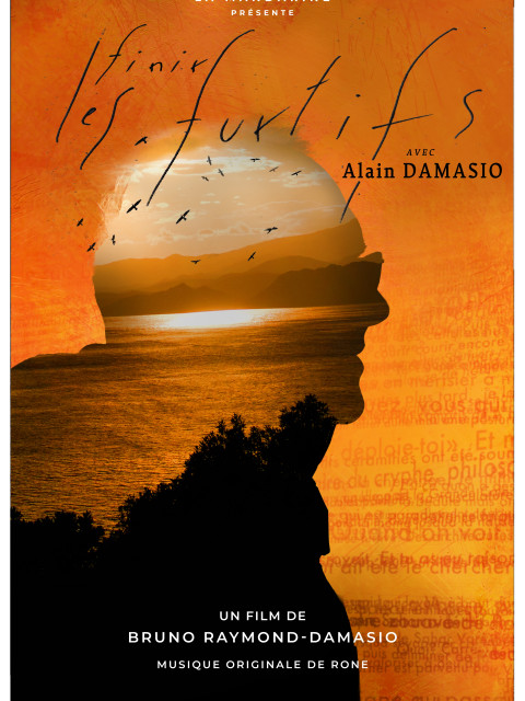 Affiche du film Finir les furtifs