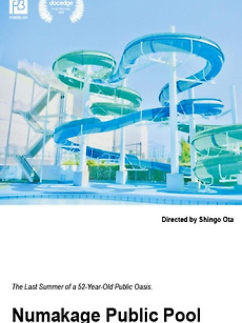 NUMAKAGE PUBLIC SCHOOL