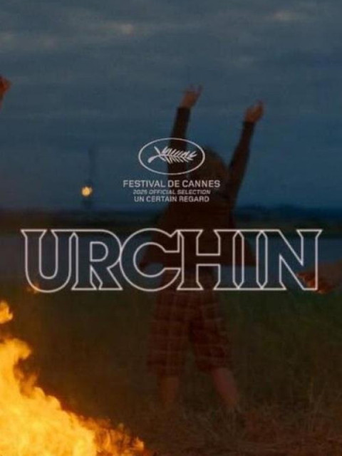 Urchin Urchin