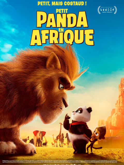 Petit Panda en Afrique Petit Panda en Afrique