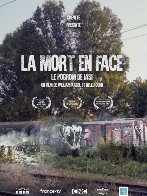 La mort en face : le pogrom de Iasi