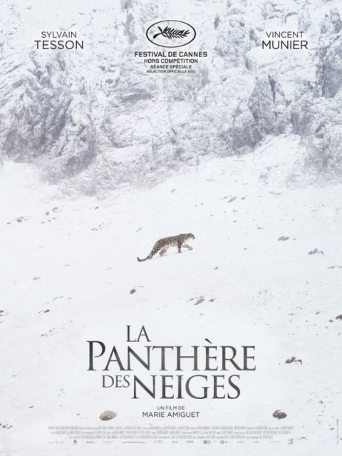 La Panthère des neiges La Panthère des neiges