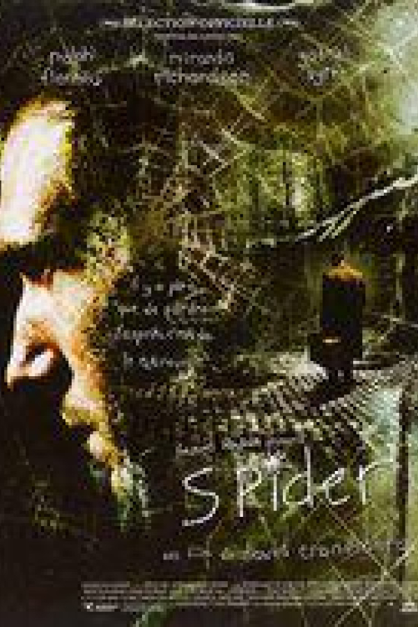 Spider