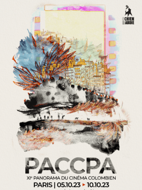 PACCPA 11