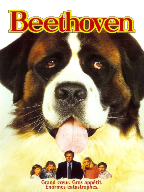 Beethoven Beethoven