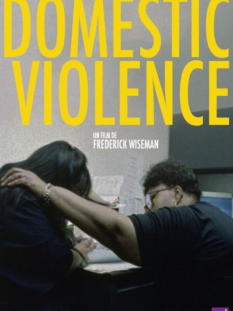 Domestic Violence
