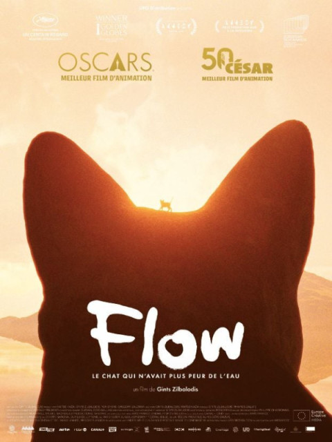 Flow, le chat qui n'avait plus peur de l'eau