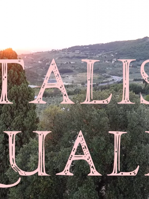Talis Qualis