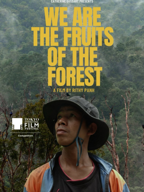 Nous sommes les fruits de la forêt 