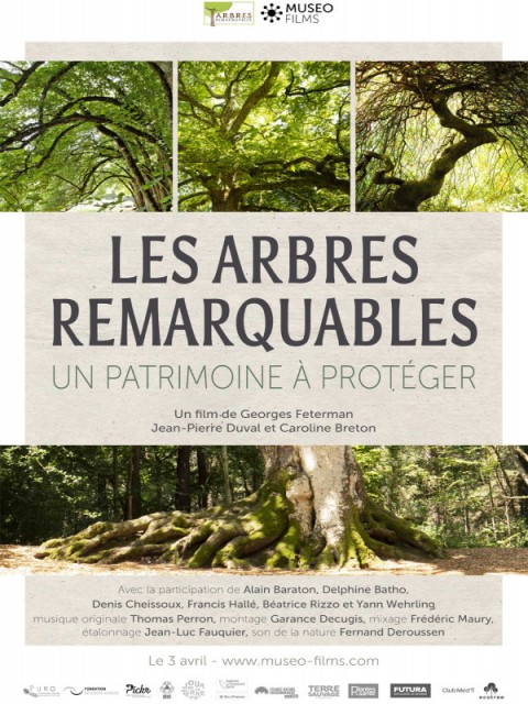 Long métrage documentaire, "Les Arbres Remarquables - Un patrimoine à protéger" nous emmène à travers la France métropolitaine et d'outre mer à la rencontre des monuments végétaux que sont les arbres remarquables...  Suivez Georges FETERMAN à la rencontre de ce patrimoine naturel qui a, aujourd'hui plus que jamais, besoin d'une reconnaissance et d'une protection contre les dérives climatiques et urbanistiques. La projection sera suivie d'un débat avec Georges FETERMAN.  Retrouvez le robinier du square René-