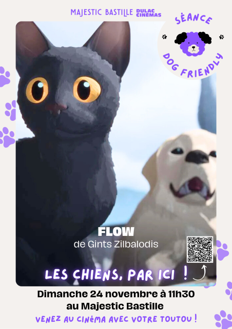 Séance doggo friendly : Flow, le chat qui n’avait plus peur de l’eau