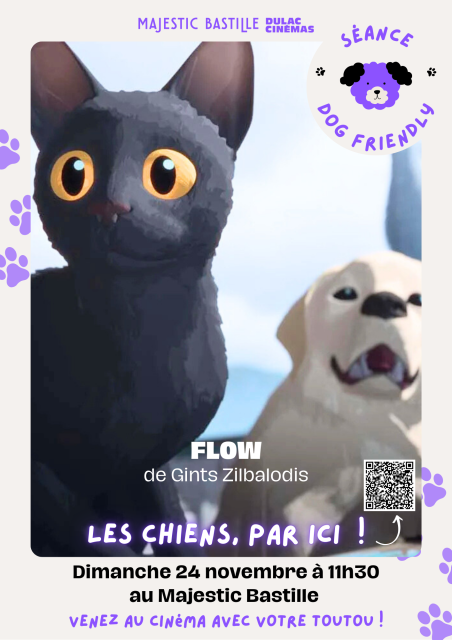 Séance doggo friendly : Flow, le chat qui n’avait plus peur de l’eau 