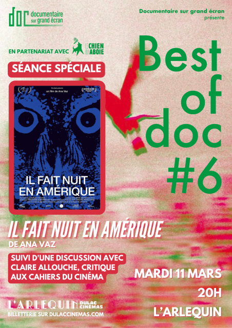 BEST OF DOC#6 | Il fait nuit en Amérique d'Ana Vaz suivi d'une discussion avec la critique Claire Allouche