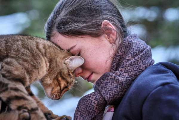 Mon chat et moi, la grande aventure de Rroû