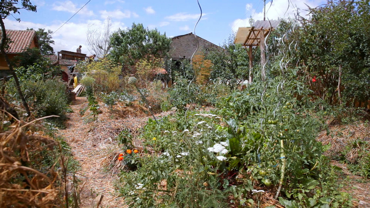 Permaculture, documentaire, Clement Fleith