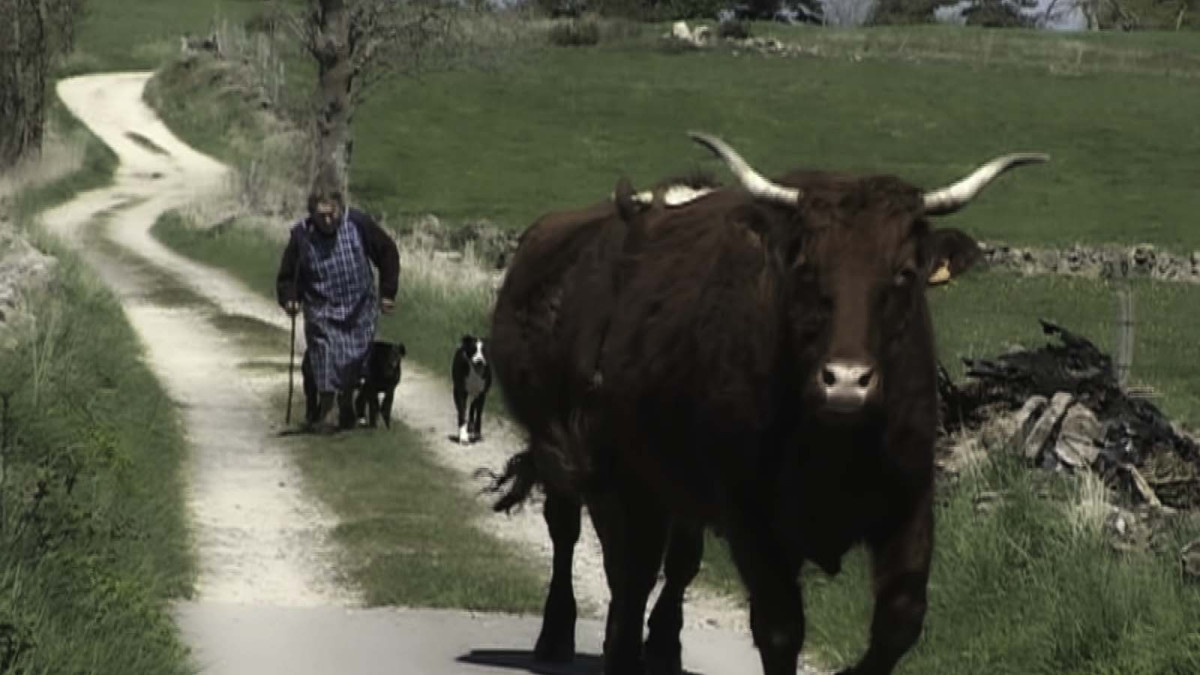 Sans Adieu, paysans, monde paysan