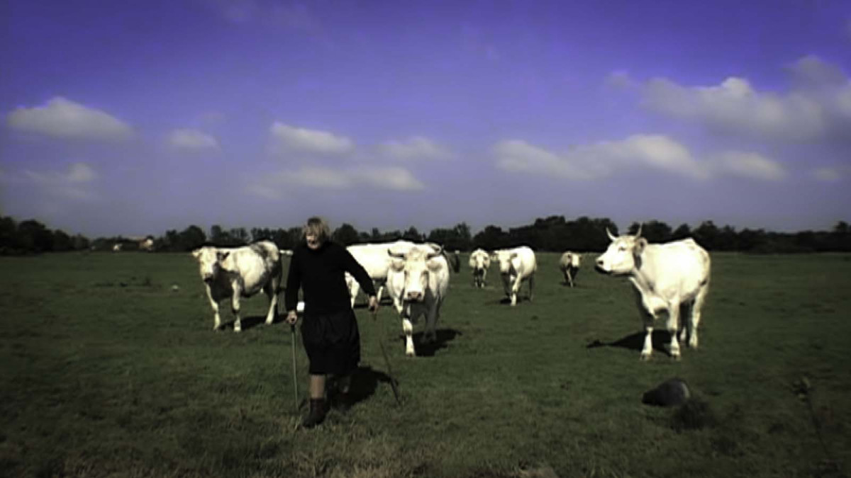 Sans Adieu, paysans, monde paysan