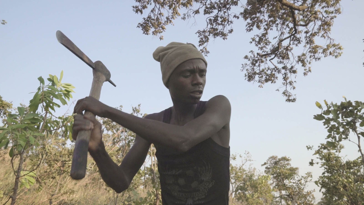 Documentaire, Makala, Emmanuel Gras