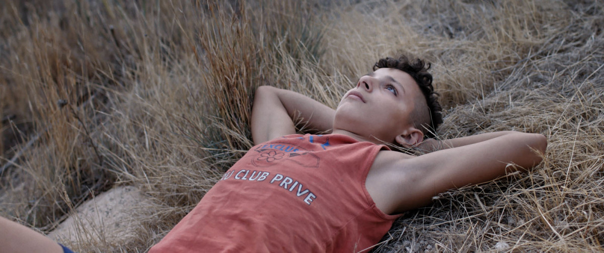 Il Mio Corpo, ACID, Documentaire