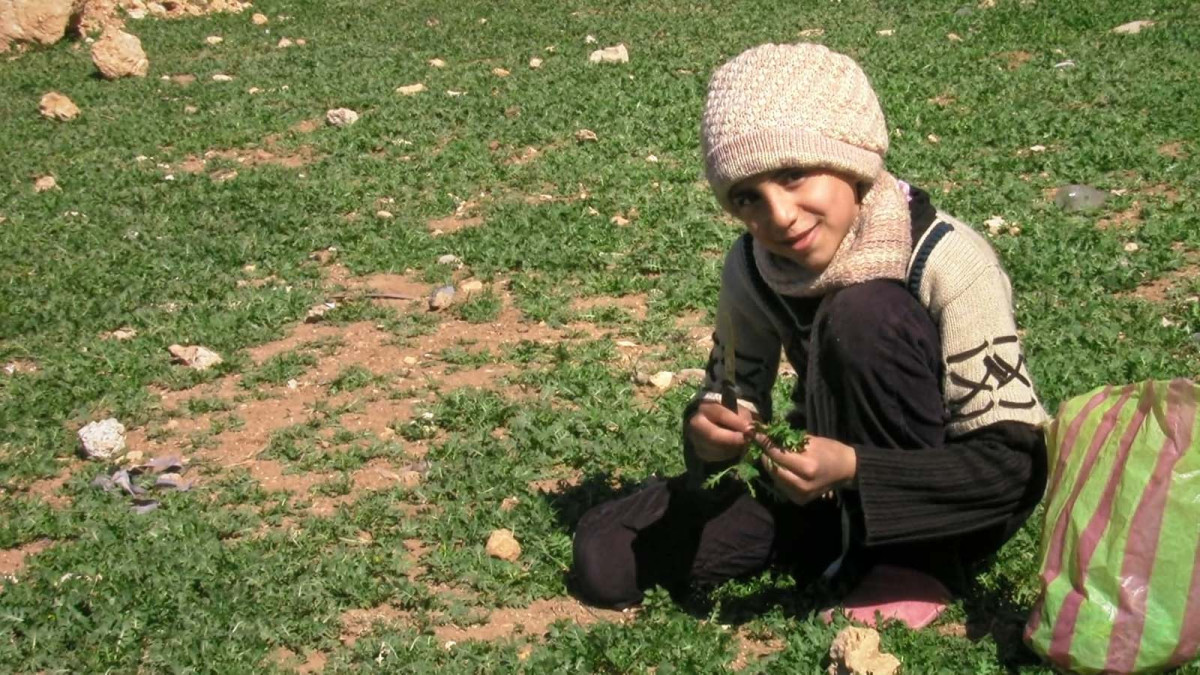 Little Palestine, Documentaire, Syrie, ACID