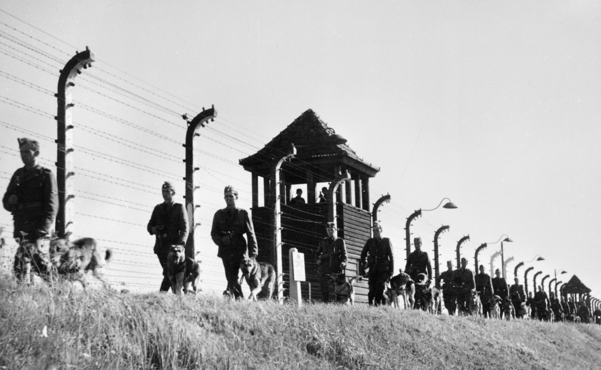 LA PASSAGÈRE D'ANDRZEJ MUNK SUIVI DU DOCUMENTAIRE DERNIÈRES IMAGES