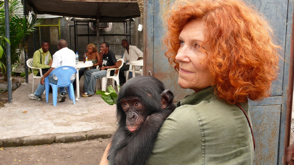 Le ciné-club des explorateurs #3 Bonobos de Alain Tixier en sa présence