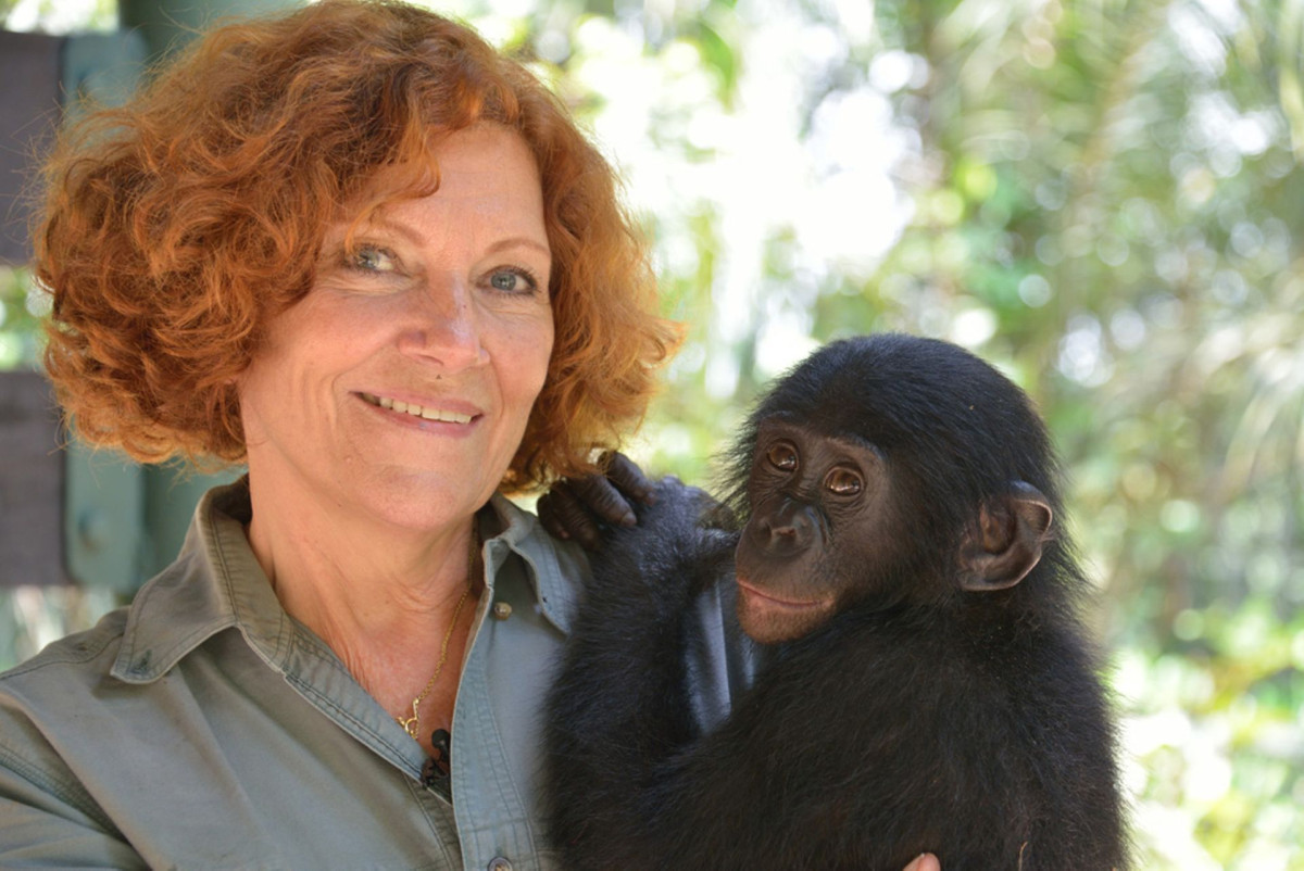 Le ciné-club des explorateurs #3 Bonobos de Alain Tixier en sa présence